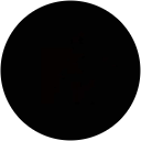 Dina Zuriqat profile picture
